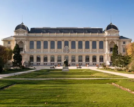 Priceless Gold Samples Taken in Daring Heist at France's Natural History Museum